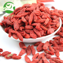 Venta caliente baya roja certificada china de goji